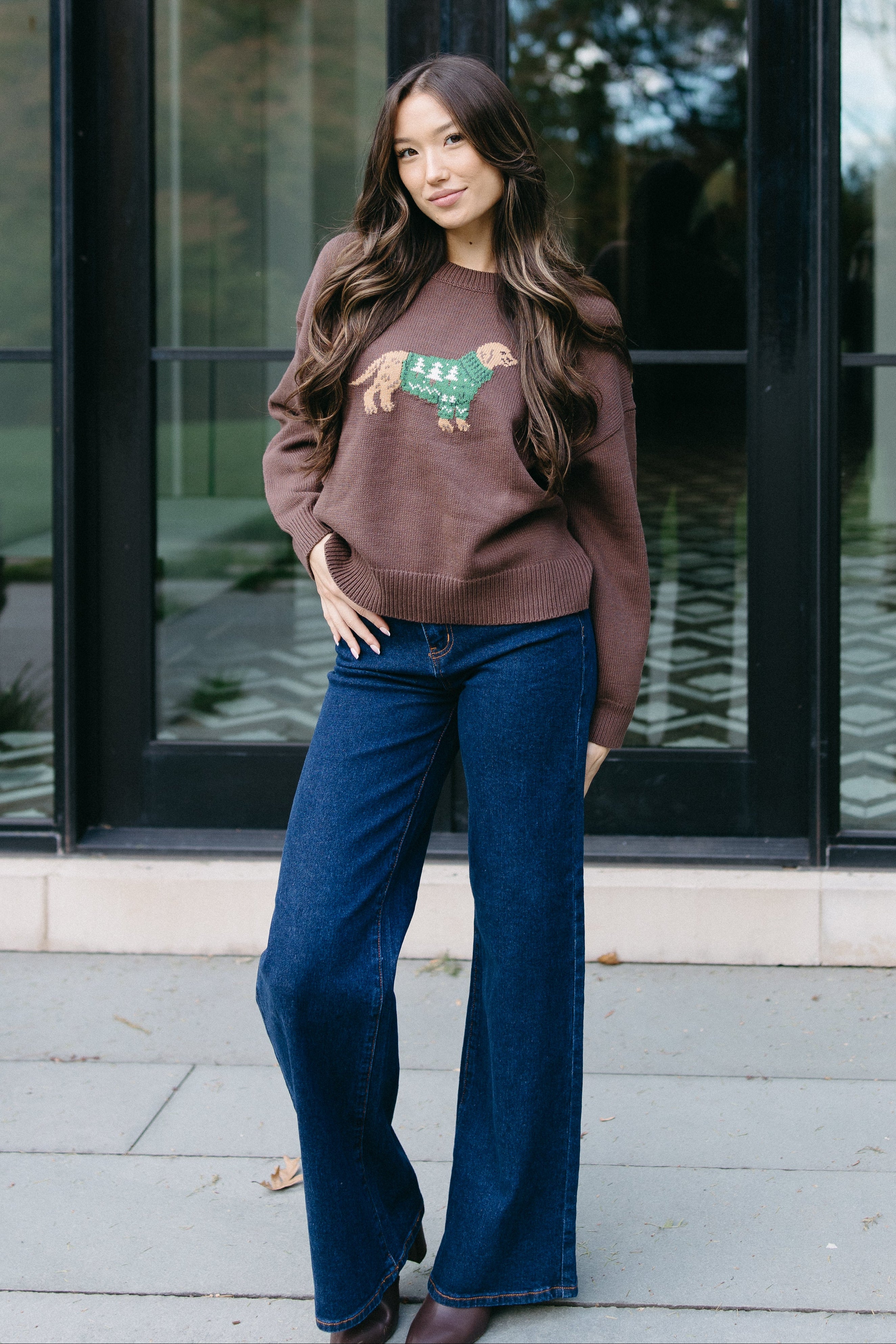 The Cozy Canine Sweater