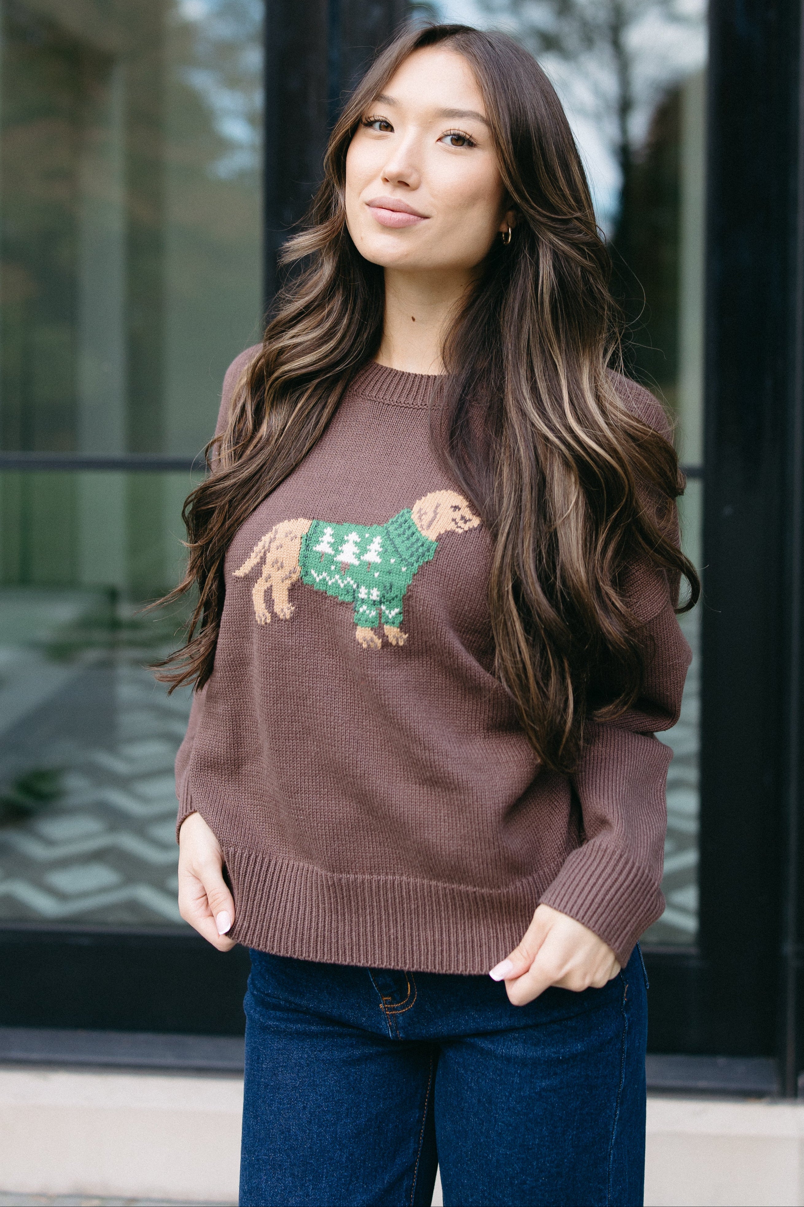 The Cozy Canine Sweater