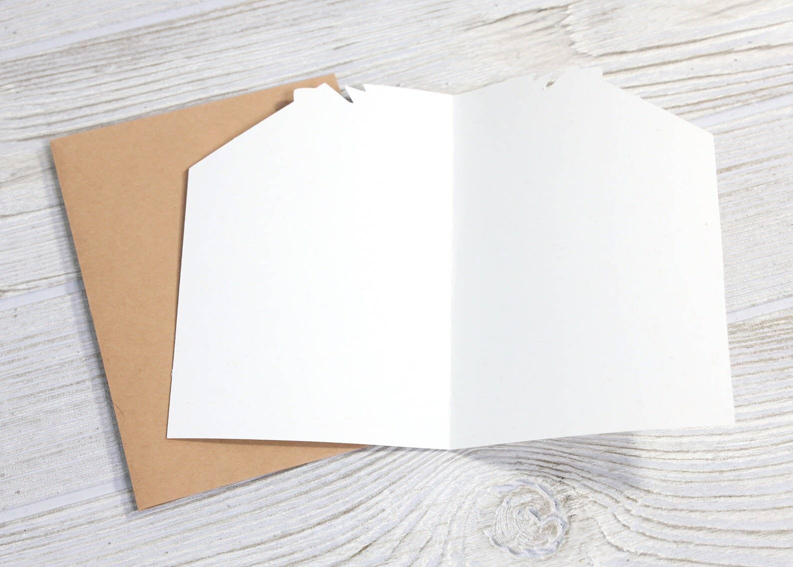 Thanks for All the Orgasms Greeting Card