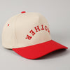 Mother Upside Down Snapback