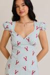 Pinch Me Mini Dress