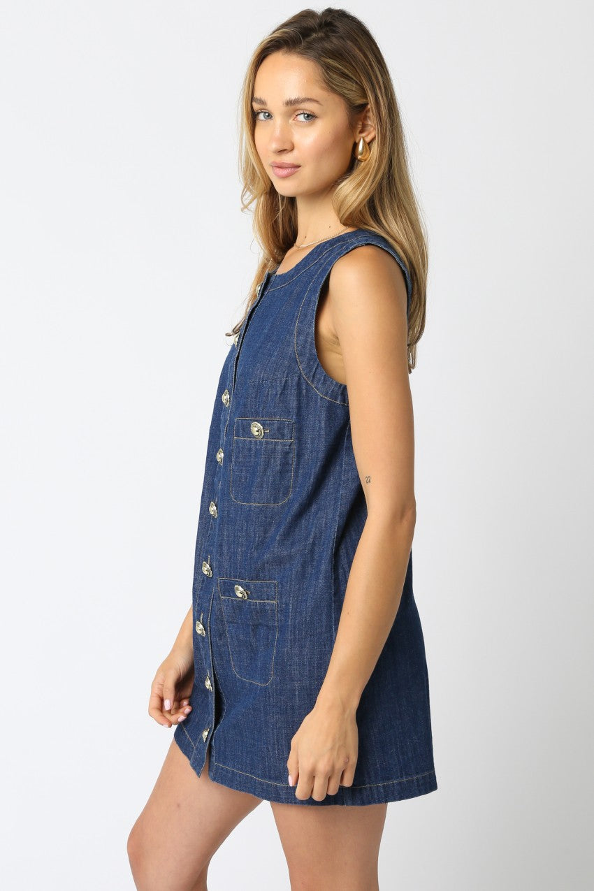 Katrina Button Down Denim Dress