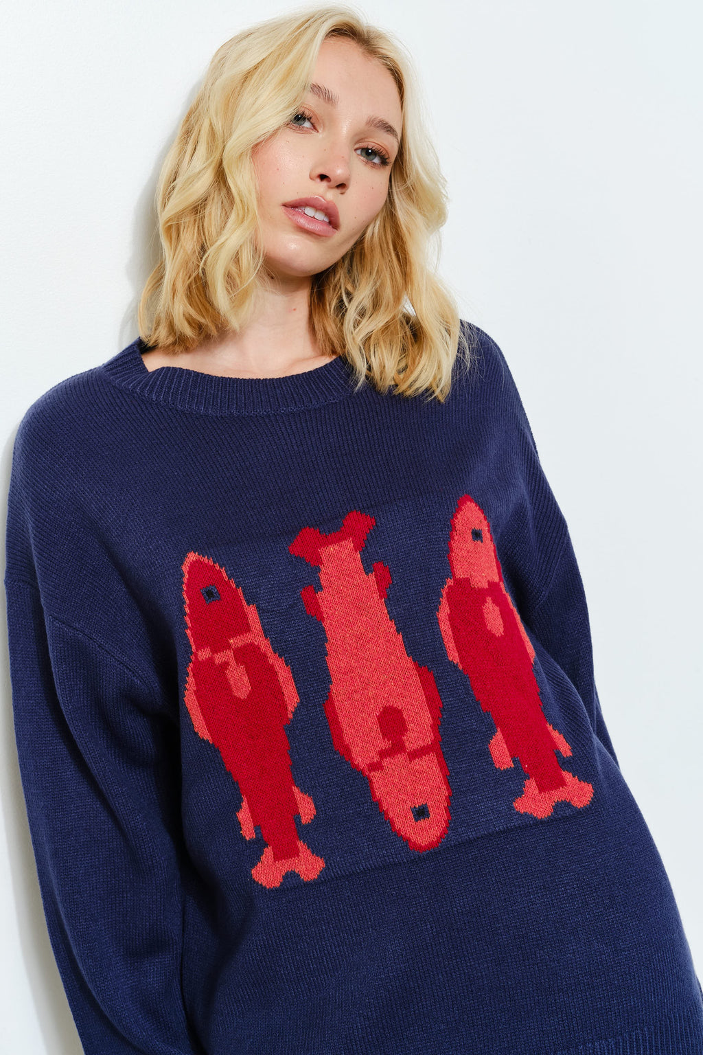 Iggy Fish Sweater