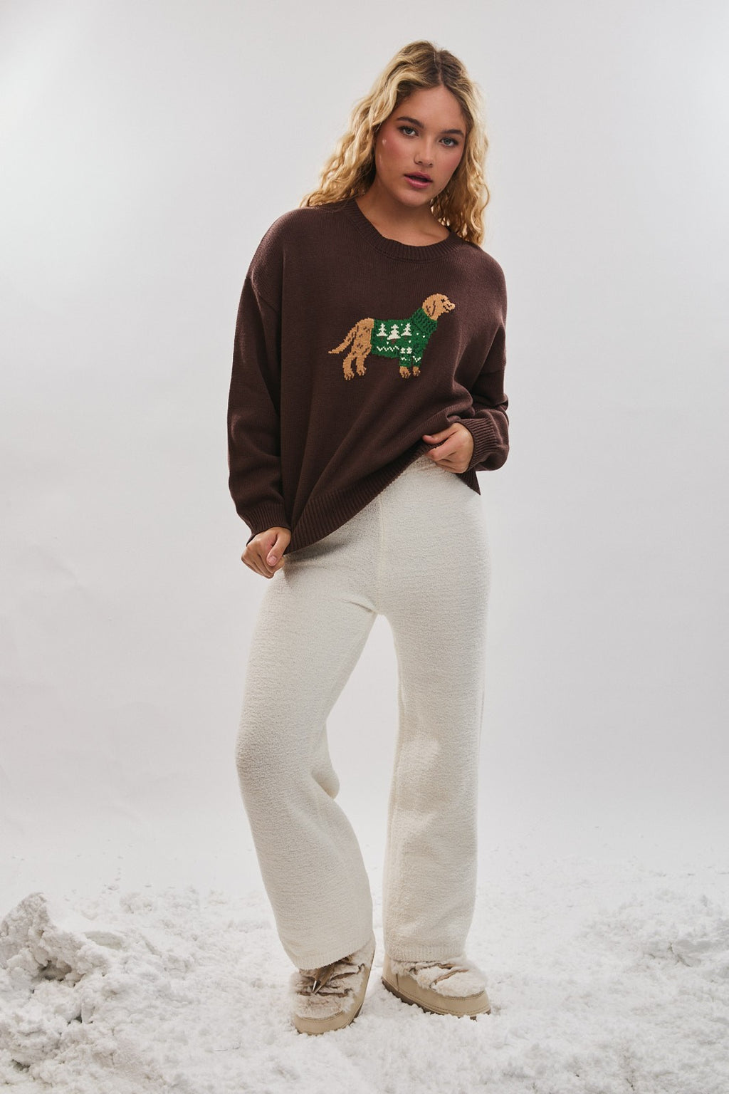 The Cozy Canine Sweater