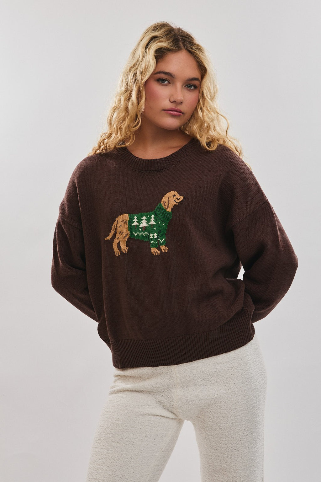 The Cozy Canine Sweater