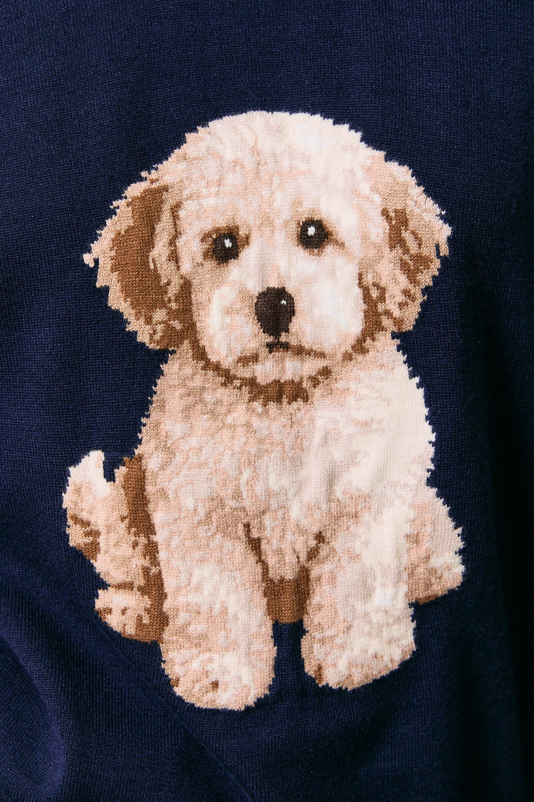 Doodle Dreams Sweater