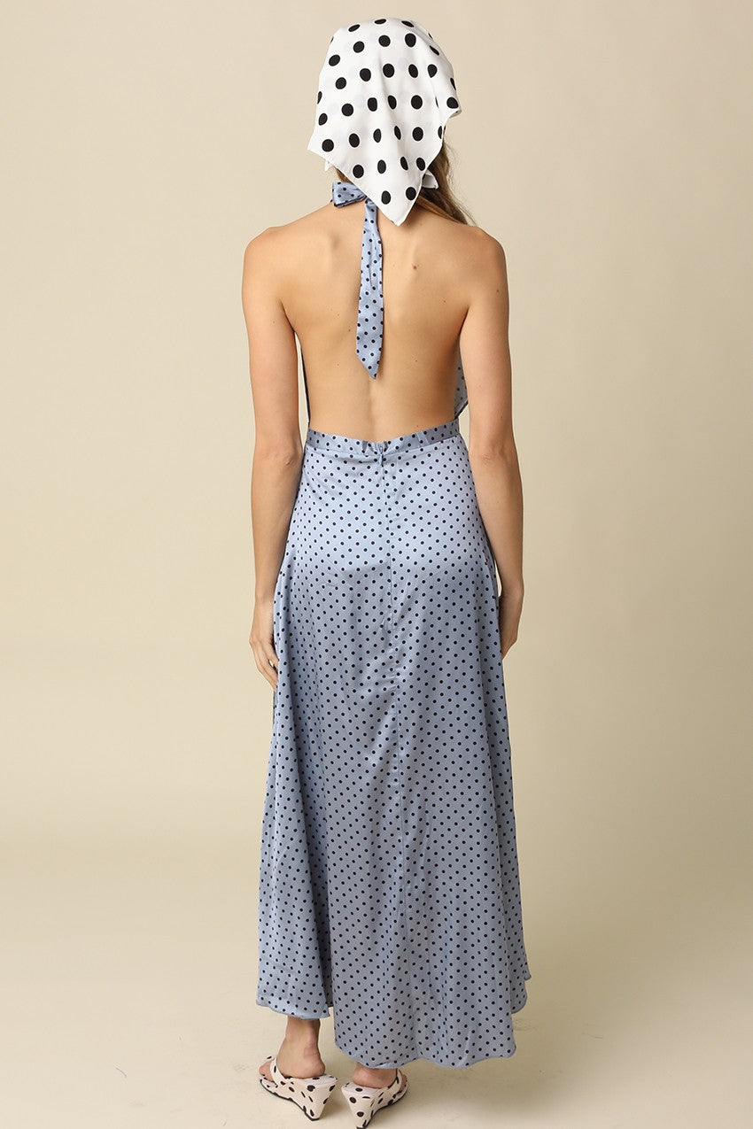 Sofia Polka Dot Maxi Dress
