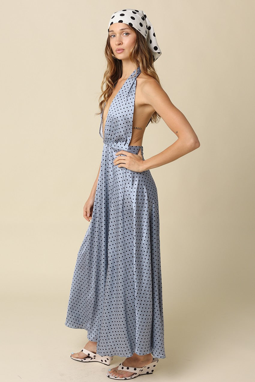 Sofia Polka Dot Maxi Dress