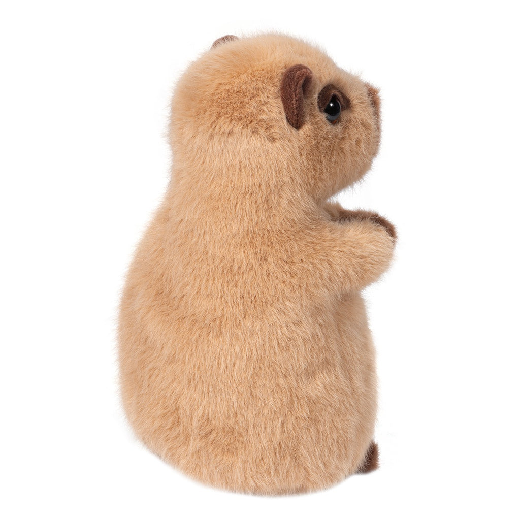 Chattie Capybara Stuffed Animal
