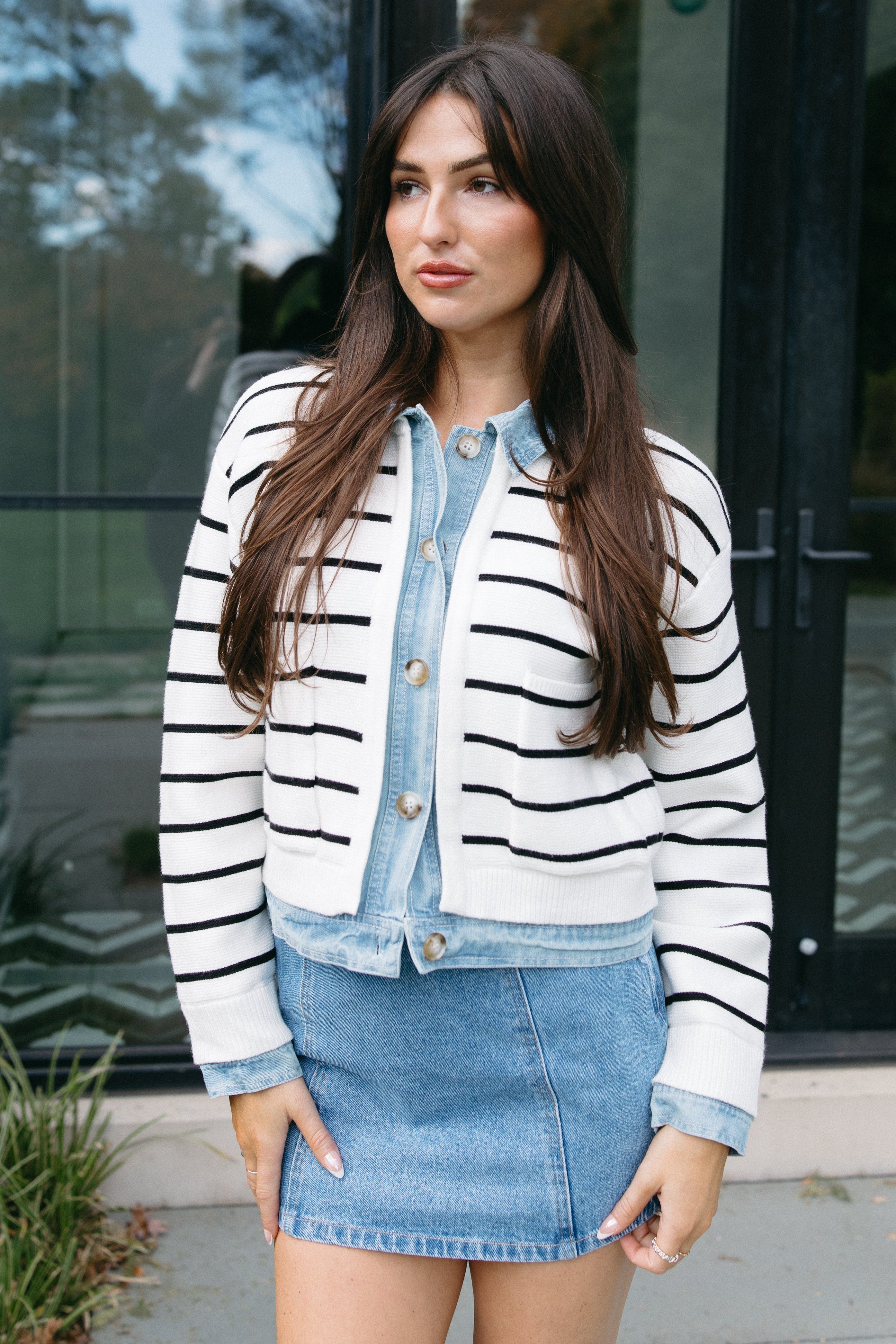 Selvedge Stripe Cardigan