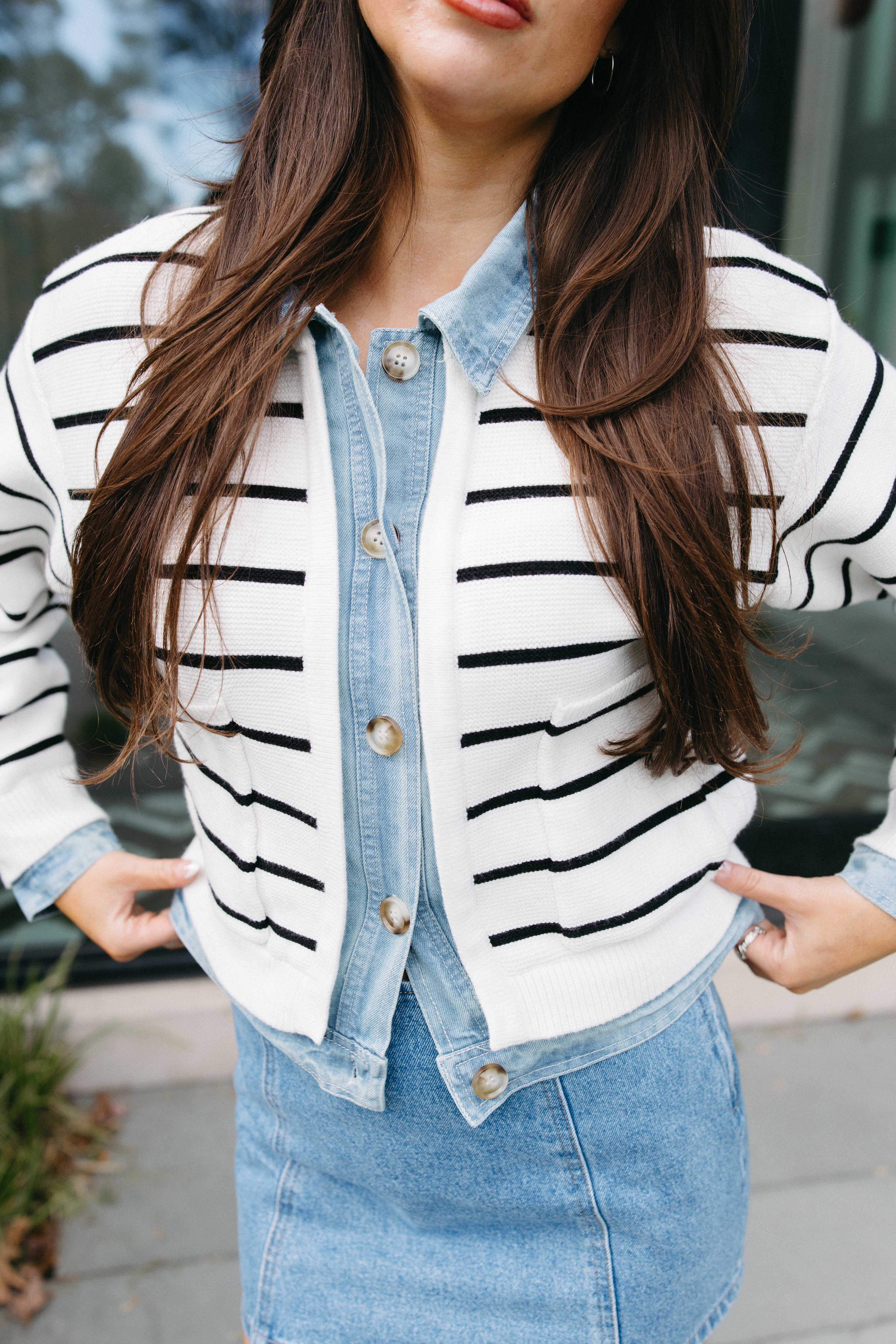 Selvedge Stripe Cardigan