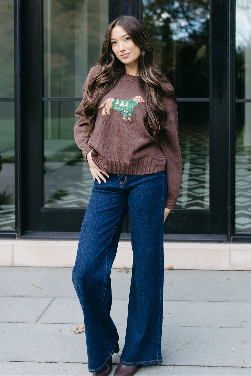 The Cozy Canine Sweater