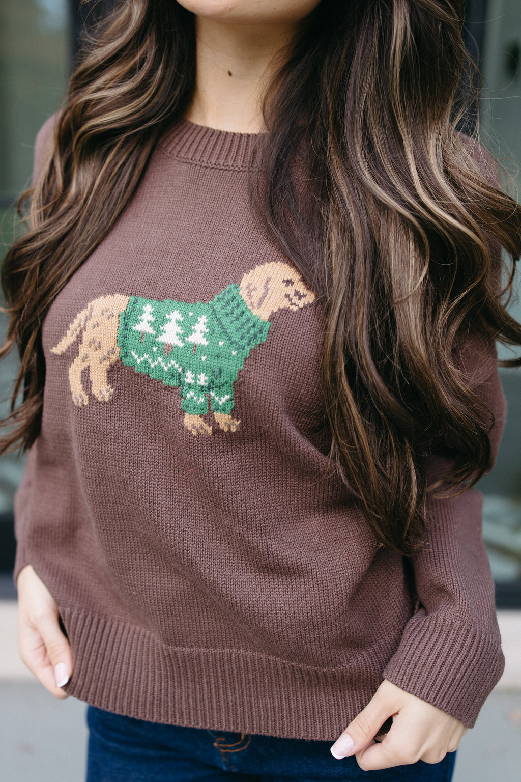 The Cozy Canine Sweater