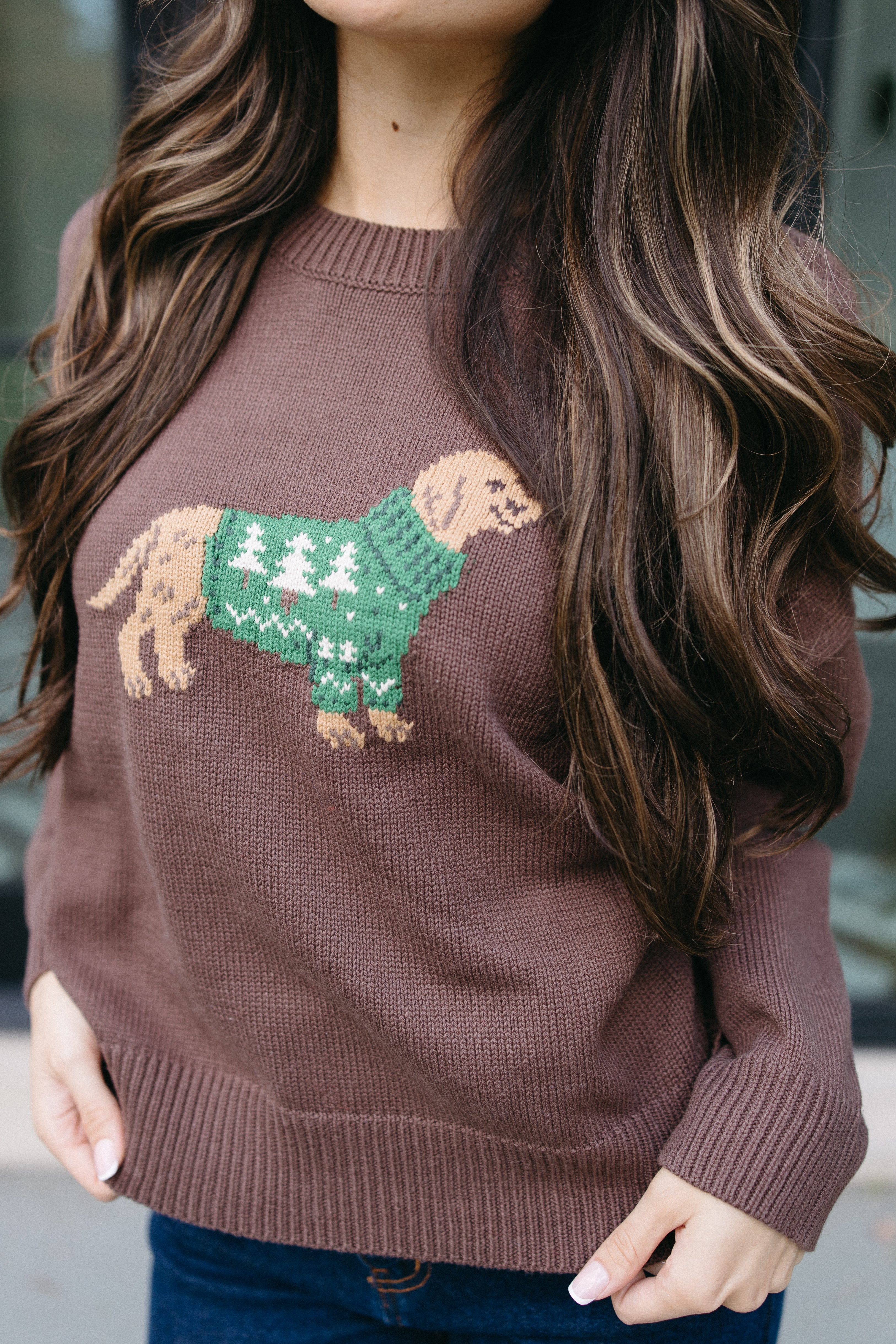 The Cozy Canine Sweater