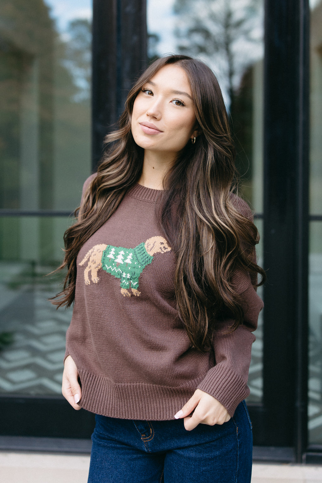 The Cozy Canine Sweater