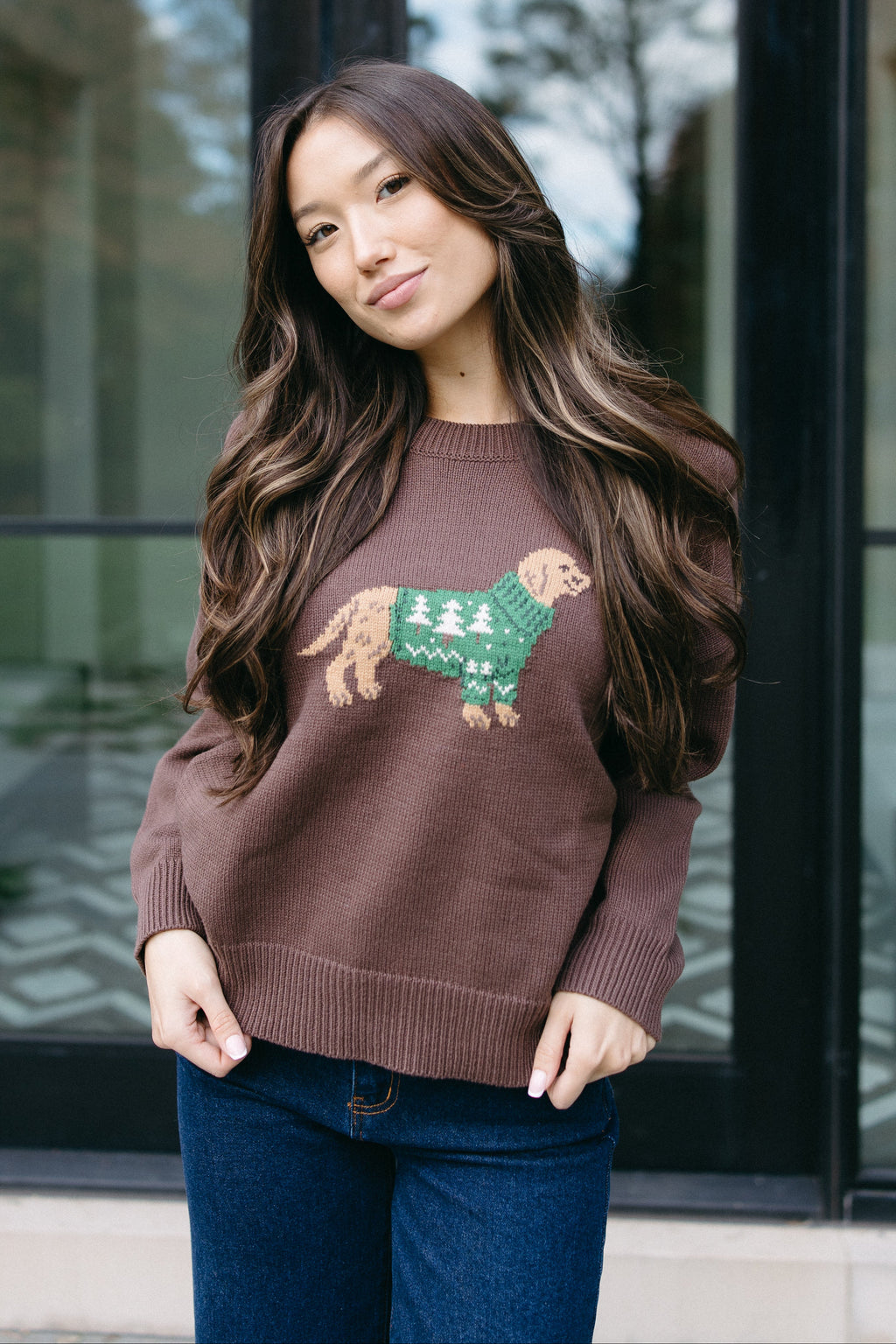 The Cozy Canine Sweater