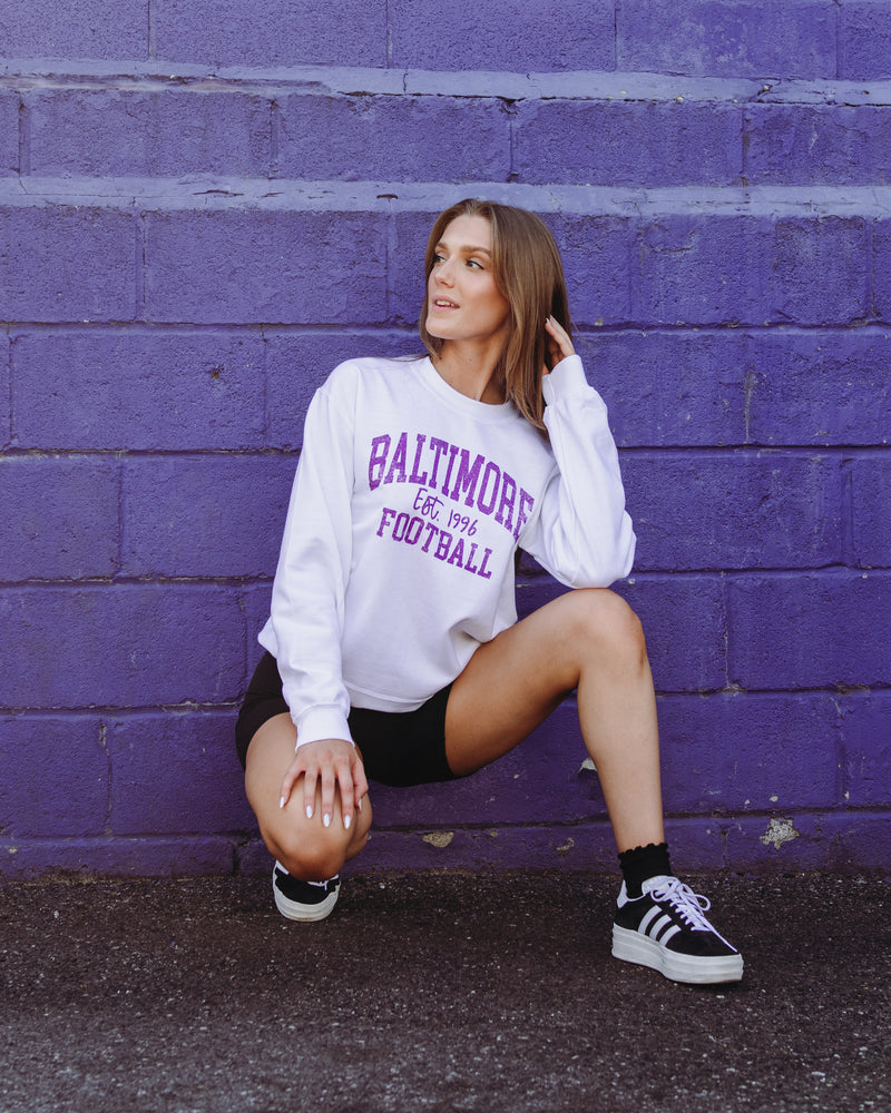 baltimore ravens dog sweater