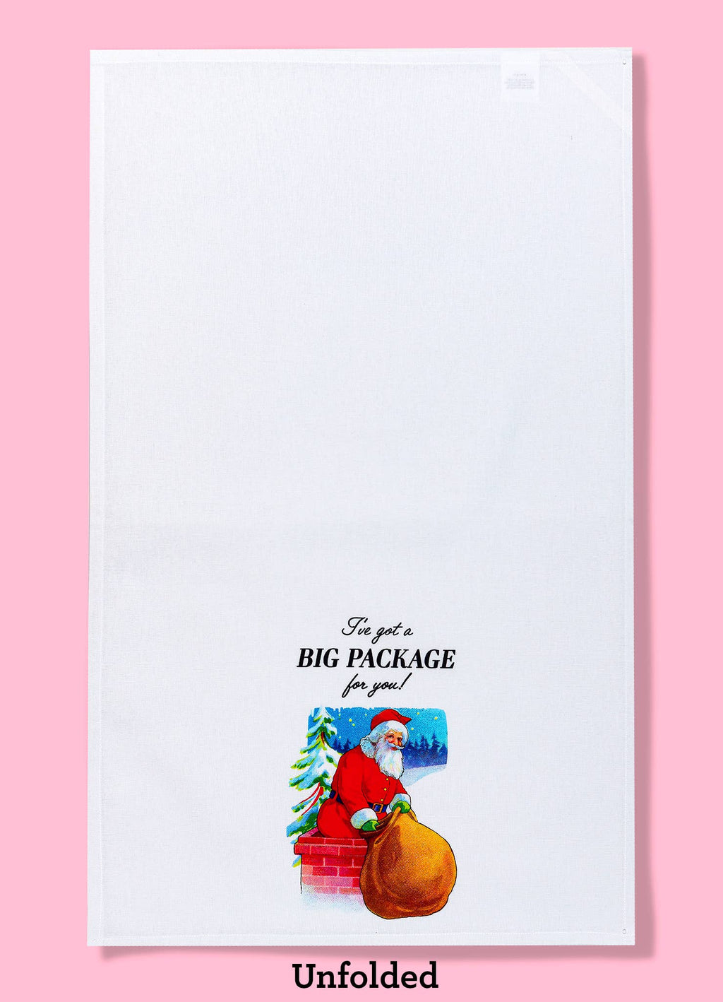 I've Got a Big Package Dishtowel