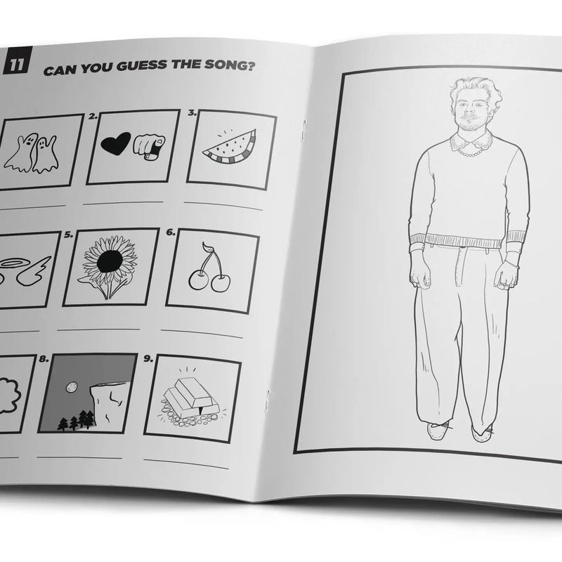 Harry Styles Activity Book
