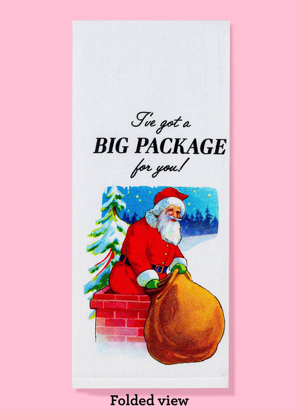 I've Got a Big Package Dishtowel