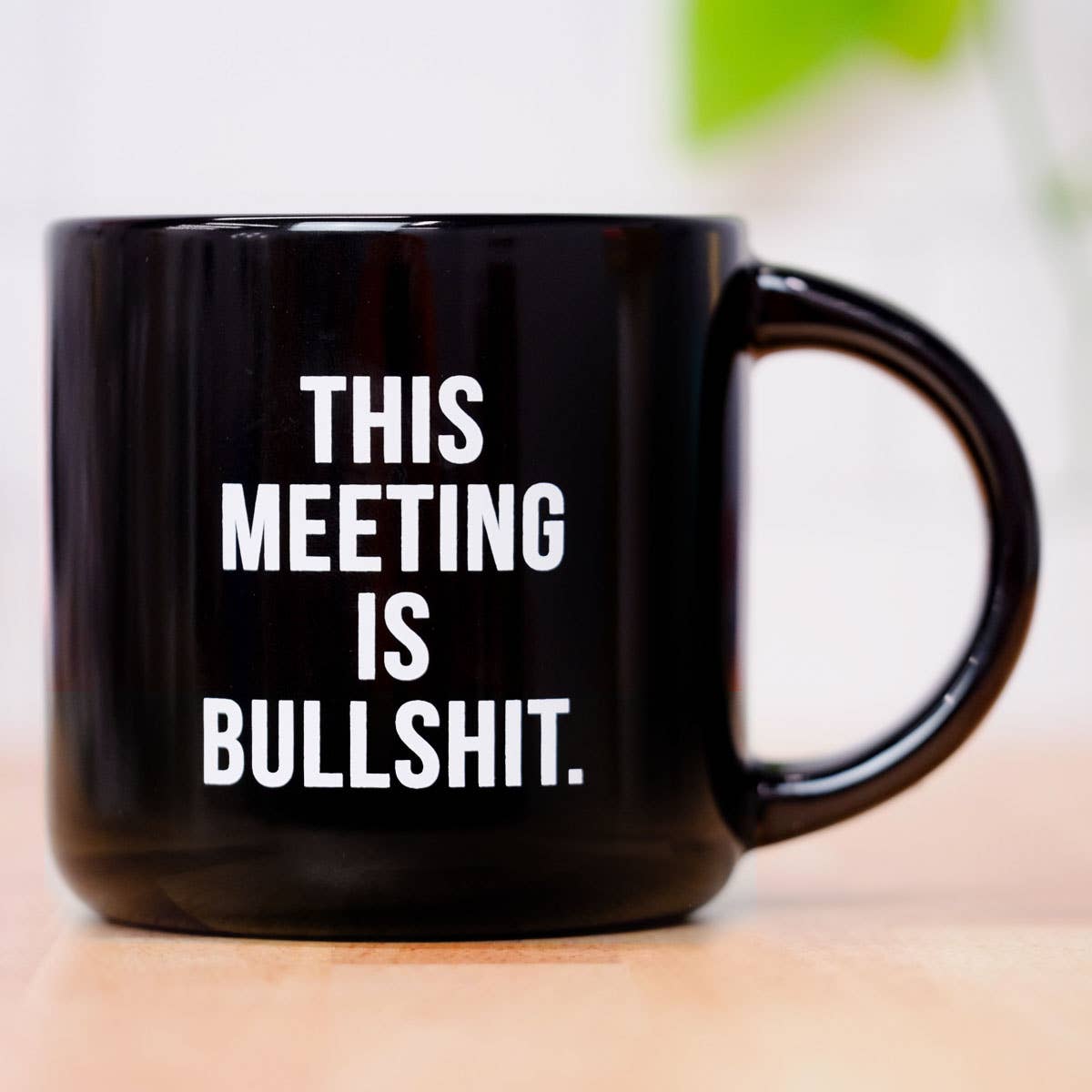 This meeting is bullshit Mug