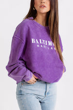 Baltimore Maryland Crewneck Sweatshirt by Brightside