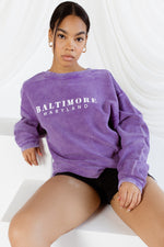 Baltimore Maryland Crewneck Sweatshirt by Brightside
