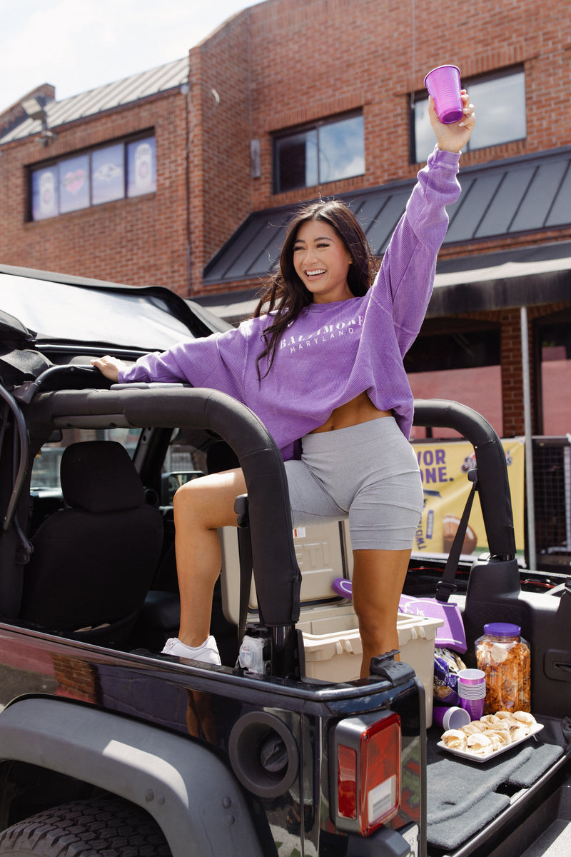 Baltimore Maryland Crewneck Sweatshirt by Brightside